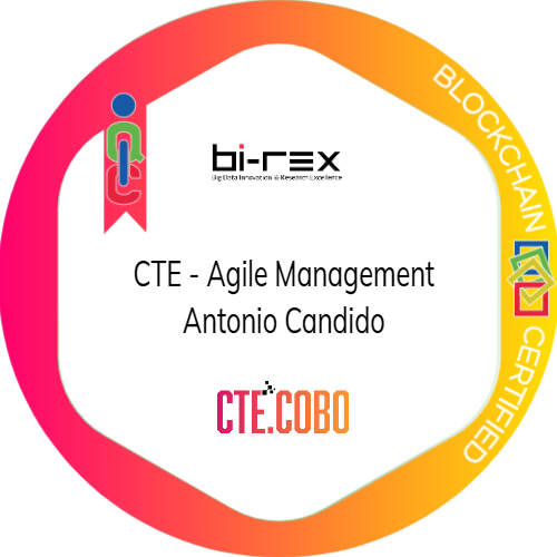 CTE-Corso Agile Management